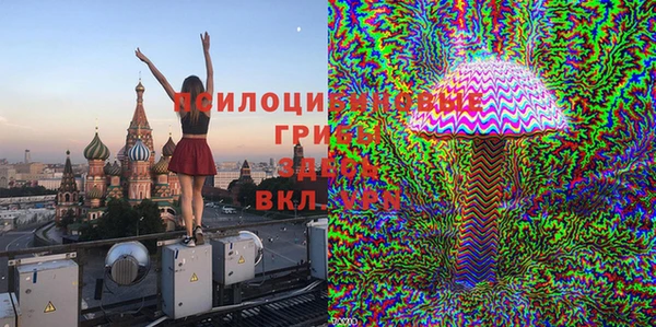 стаф Володарск