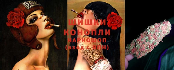 прущие грибы Волоколамск