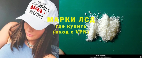 прущие грибы Волоколамск