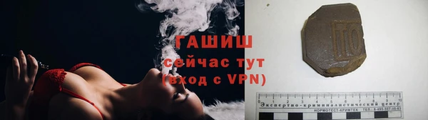 прущие грибы Волоколамск