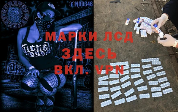 прущие грибы Волоколамск
