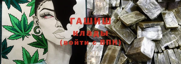 прущие грибы Волоколамск