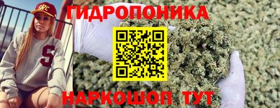 ПСИЛОЦИБИНОВЫЕ ГРИБЫ Гай