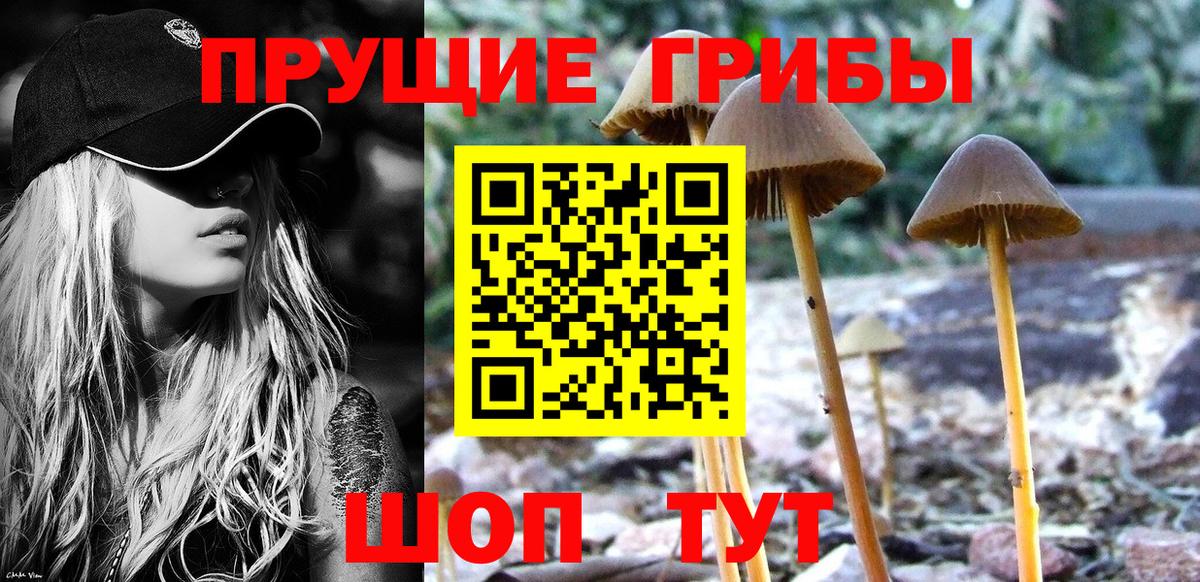 Псилоцибиновые грибы мицелий  Вход с VPN  Мариинск  Галлюциногенные грибы мухоморы 