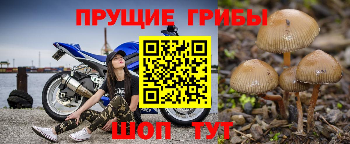 Галлюциногенные грибы Magic Shrooms Мариинск